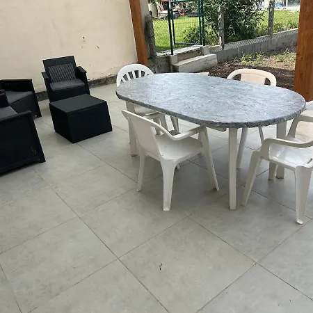 Des Jonquilles Noyant-d'Allier