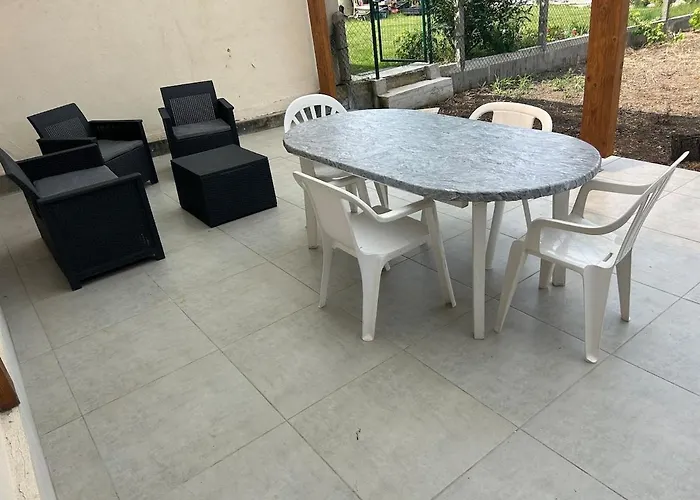 Des Jonquilles Noyant-d'Allier